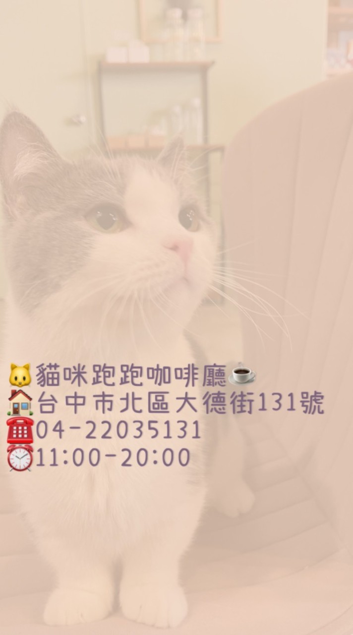 貓咪跑跑-好物分享