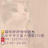 貓咪跑跑-好物分享