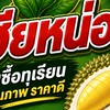 เฮียหน่อย รับซื้อทุเรียนคุณภาพ (เขาปีบ-ชุมพร)