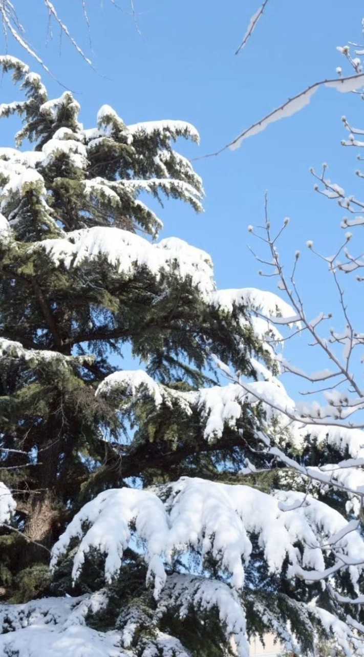 𝐁𝐫𝐢𝐥𝐥𝐢𝐚𝐧𝐭 𝐏𝐚𝐭𝐡