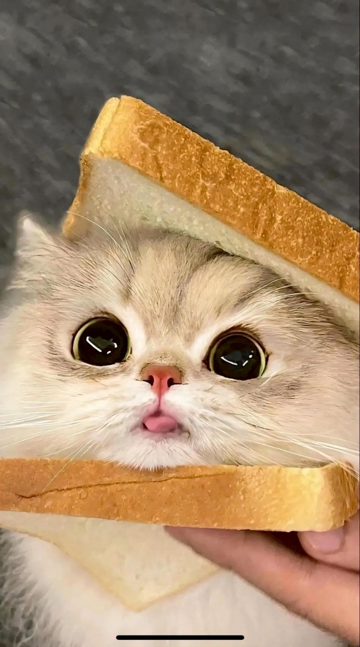 聊天~群通~冬冬的小天地~