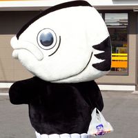 高知県 出身の会🐟(東京在住の方)