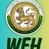 รายงาน WFH ของ สถจ.