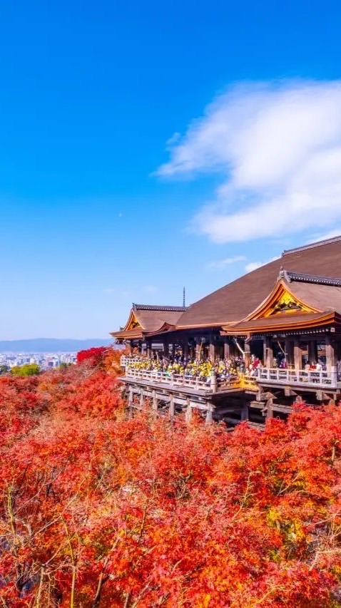 🇯🇵日本代購企劃進行中，下次預計2025第四季、有最新消息會馬上公布🌟