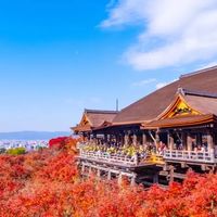 🇯🇵日本代購企劃進行中，下次預計2025第四季、有最新消息會馬上公布🌟