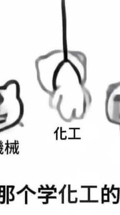 114台大化工新生群