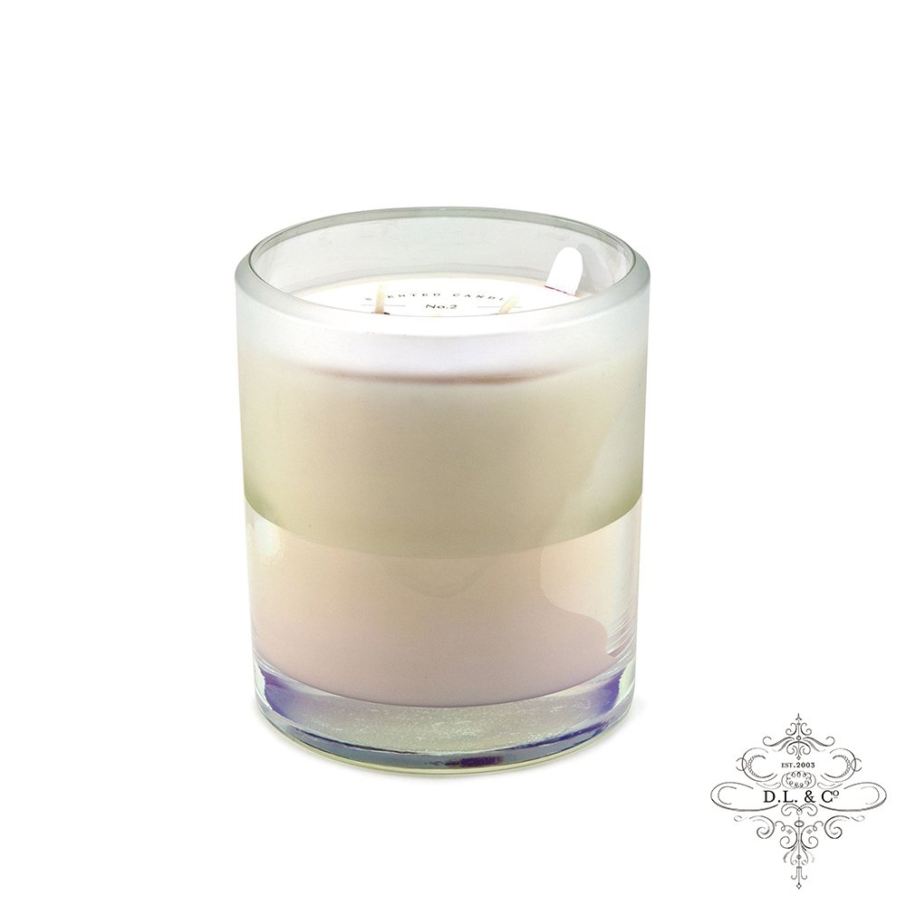 D.L. & CO. 美國香氛 ION FROSTED 霓虹光瓶系列 Winter Rose 麝香玫瑰 香氛禮盒 709g