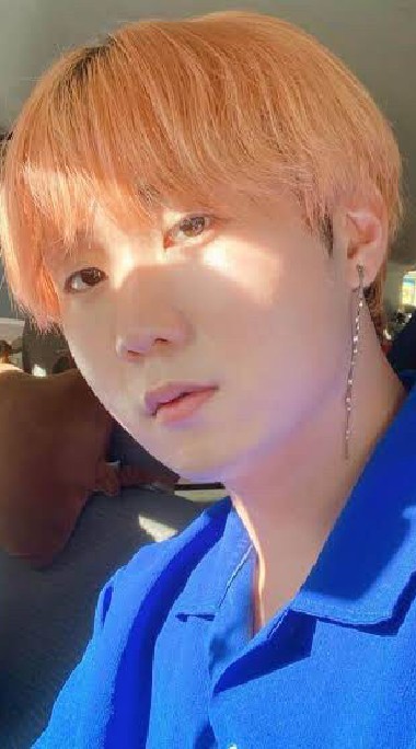 ポムちゃん集まれー！