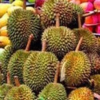 ผลไม้ อ่อนนุช/พัฒนาการ