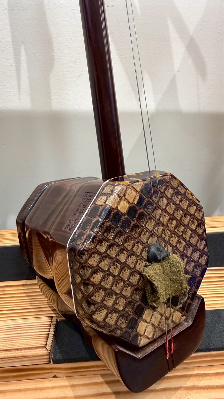 逸軒の流行中胡研究社