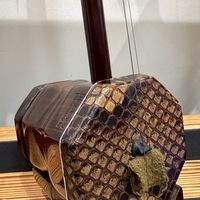 逸軒の流行中胡研究社