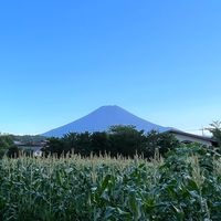 國外代購亂燉（主打日本）