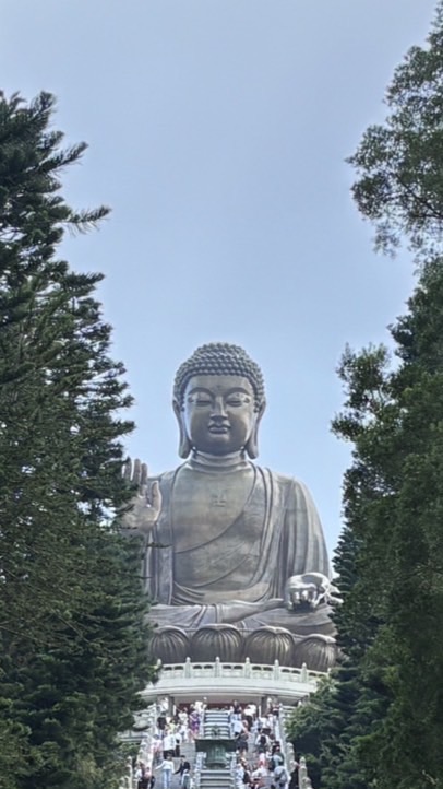 ป่าพะยอม