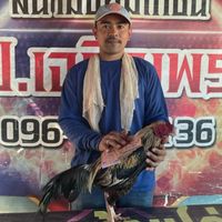 ซุ้มจงอางศึก