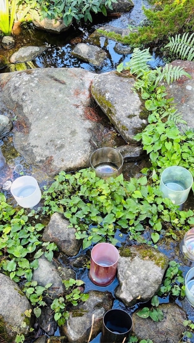 癒見植感