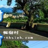 桃園龜山楓樹里的大小事