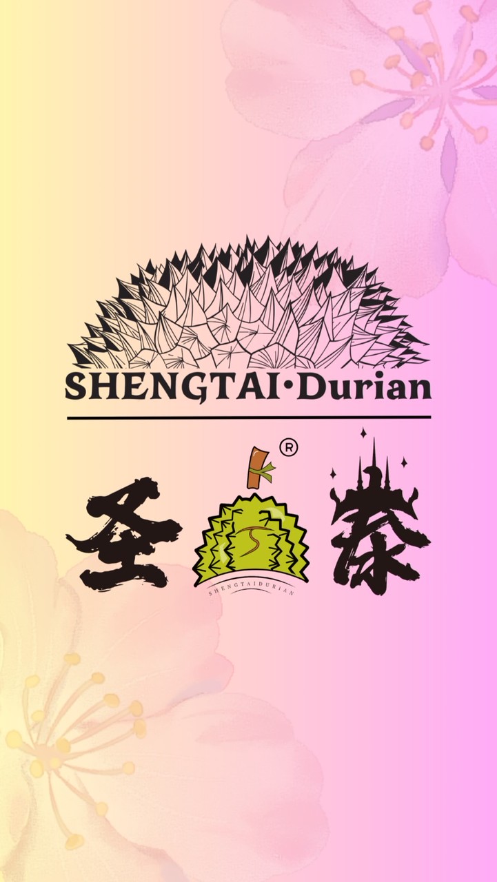 ล้ง ST SHENGTAI