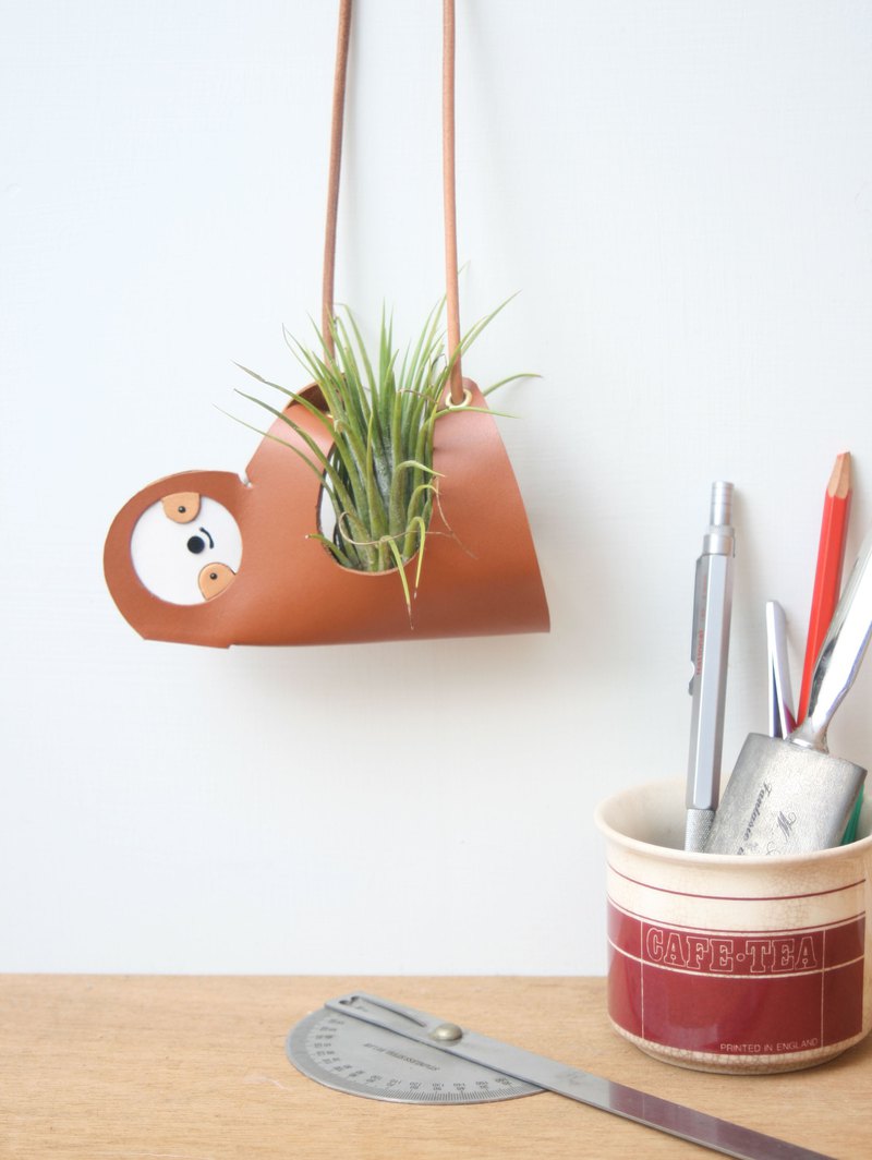 我懶我驕傲! 跟著樹懶一起享受慢生活，假日的我就是懶~~ 空氣鳳梨：不須泥土，適合繁忙城市人和新手養的懶人植物，適合想跟樹懶一樣懶洋洋的你。