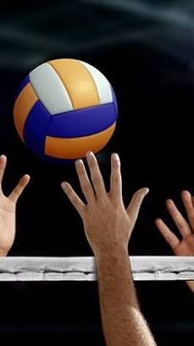 วอลเลย์บอล