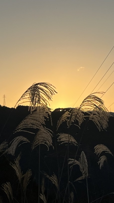 努力が続かない人向け！イラスト部