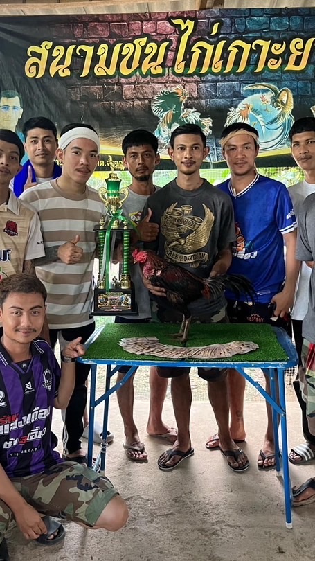 สังข์ทองฟาร์ม