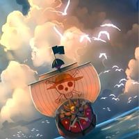 ONE PIECE 也‼️
