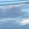 通話民