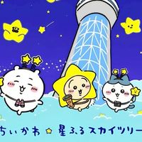✿闆✿代購 吉伊卡哇 三麗鷗 布丁狗