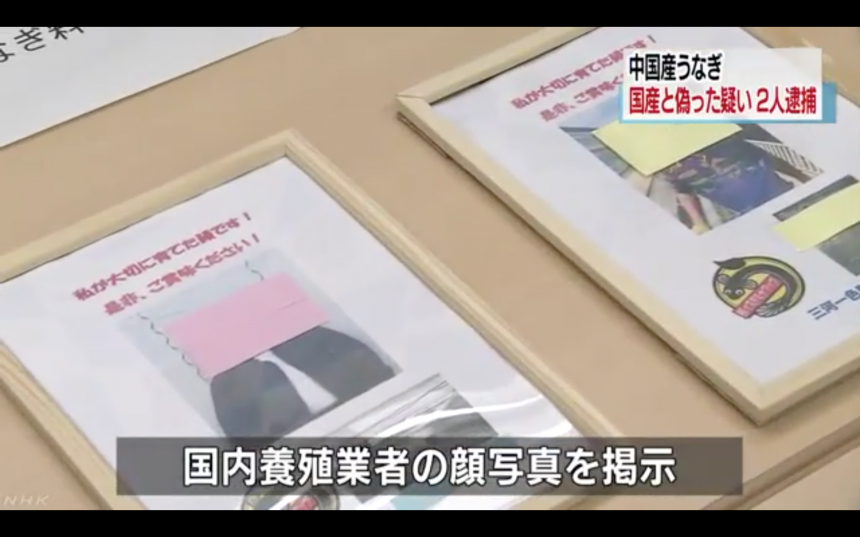 小心鰻魚 中國鰻當日本鰻 福井縣廚師食店老闆被捕 Line購物