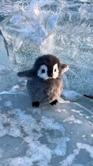 高校生、大学生かもん‼️😉😘💕