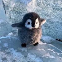 高校生、大学生かもん‼️😉😘💕