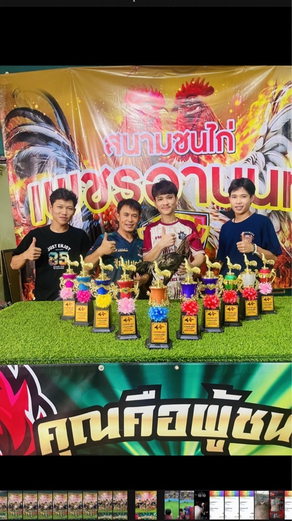 YCN”เพชรดาวเหนือ💫🐓🐣พัฒนาสายเลือดดีๆ