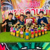 YCN”เพชรดาวเหนือ💫🐓🐣พัฒนาสายเลือดดีๆ