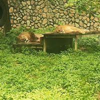 正興國中家長交流群