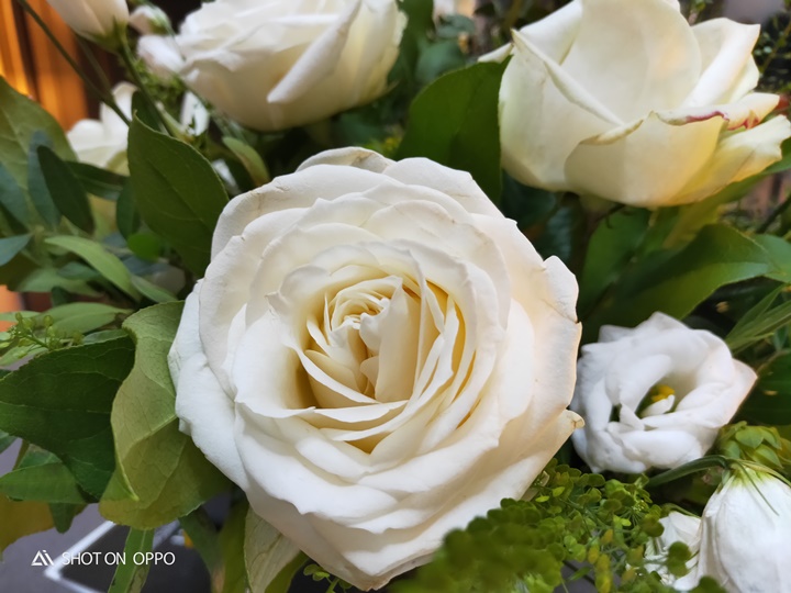 OPPO R17 開箱動手玩，跑分、拍照、續航力表現全都測