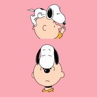 Dita美國🇺🇸代購
