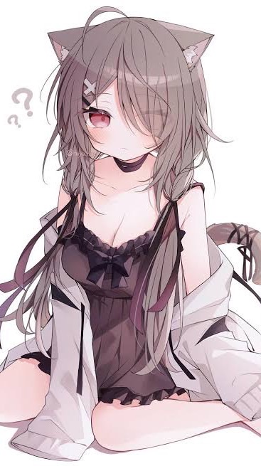 猫小窝