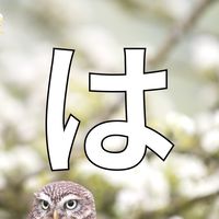 【療育子育て版】発達障害を語ろう！