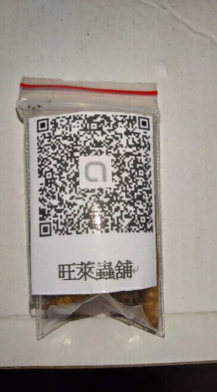 旺萊蟲鋪