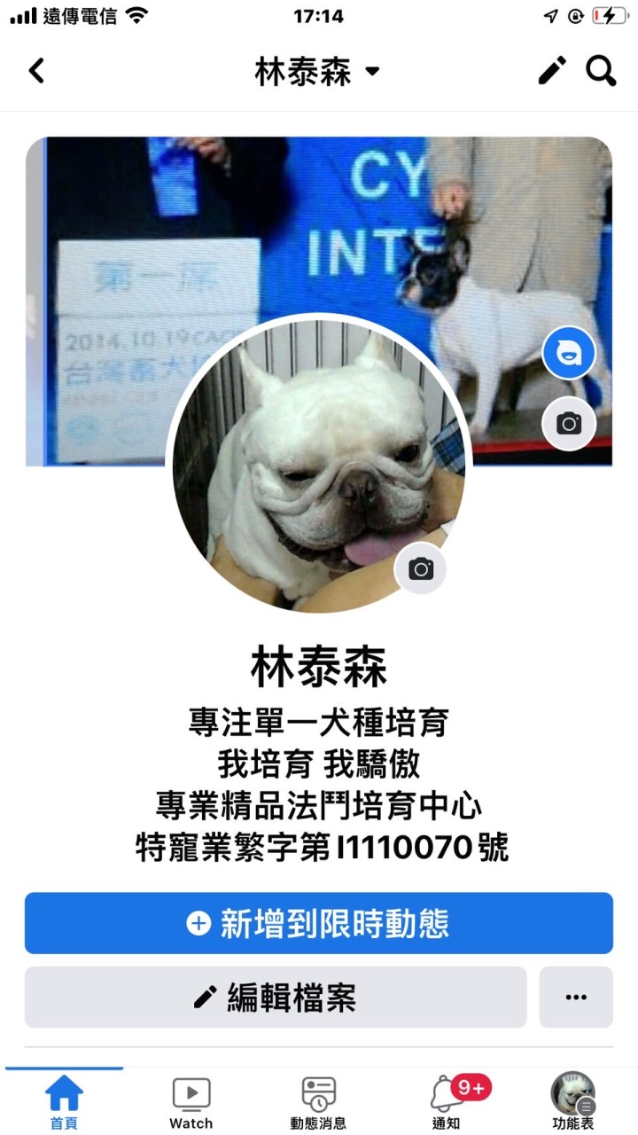 萌寶專業法鬥犬舍幼犬預定群組