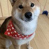 日中第五人格協和グループ