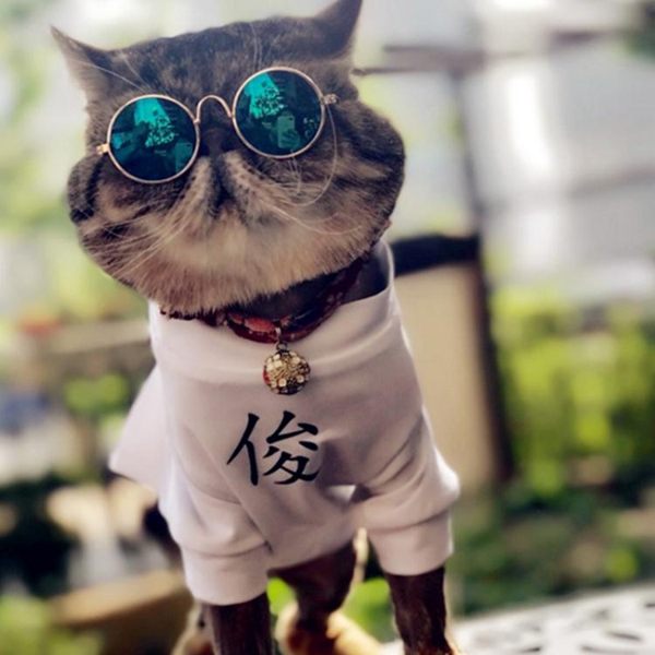 寵物貓眼鏡貓咪墨鏡復古酷貓搞怪用品的小飾品