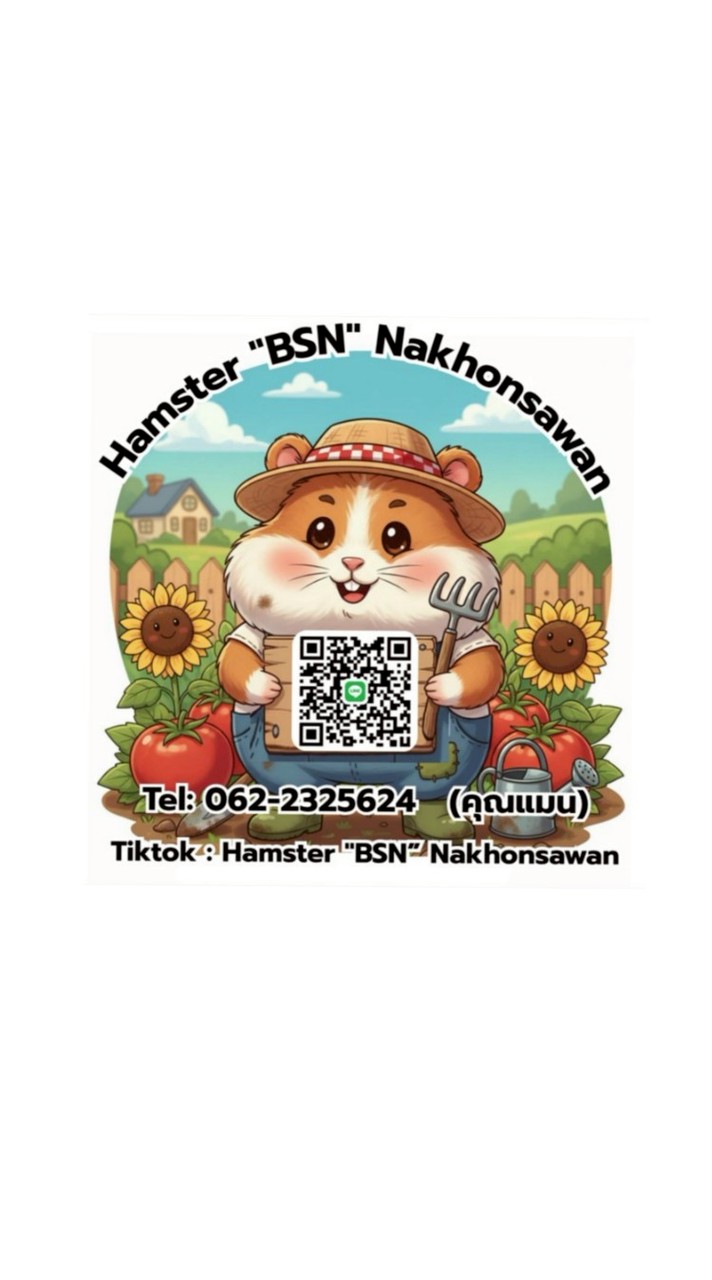 Hamster "BSN" Nakhonsawan
