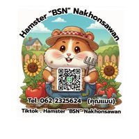 Hamster "BSN" Nakhonsawan