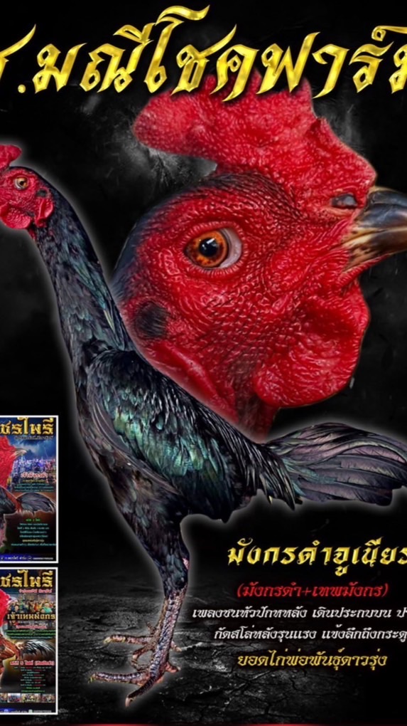 ช.มณีโชคฟาร์ม ปทุมธานี