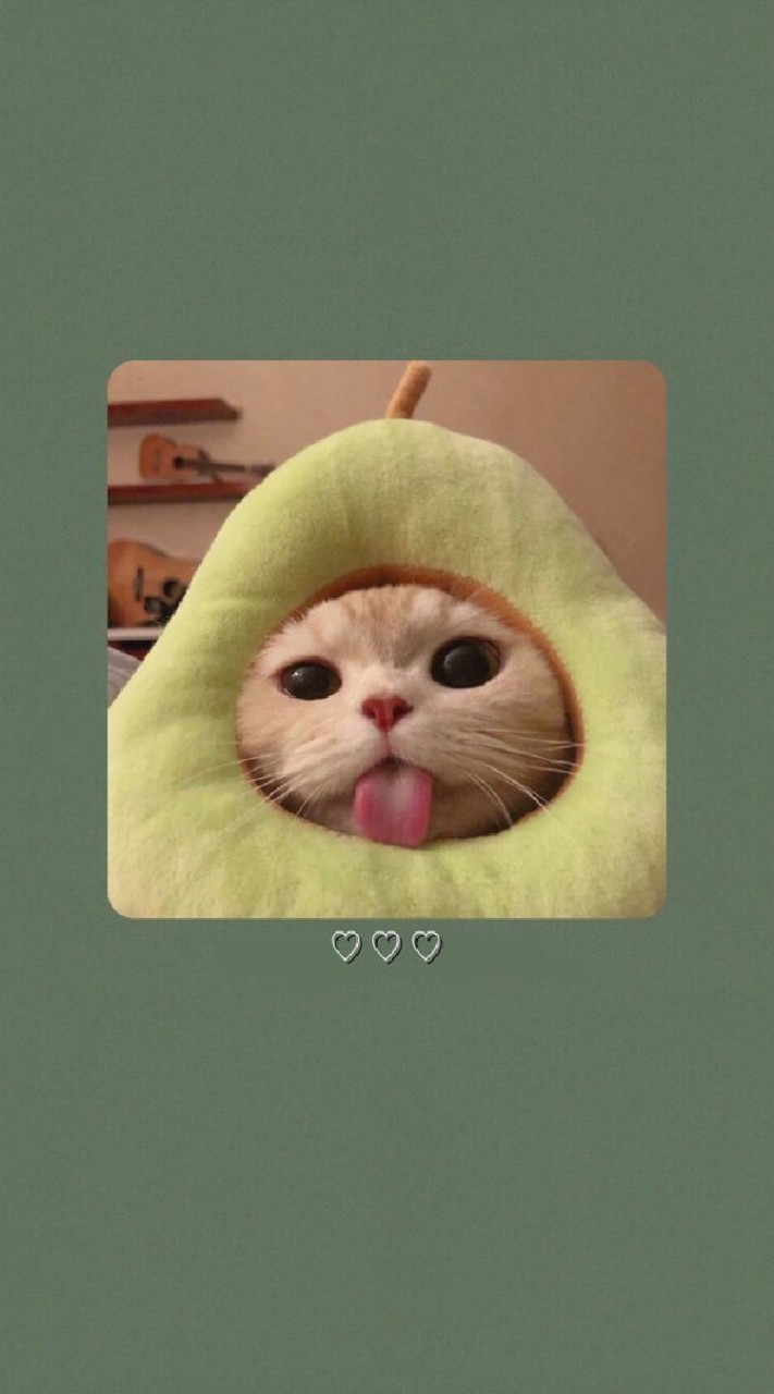 ห้องเด็กอนุบาล🤣😼