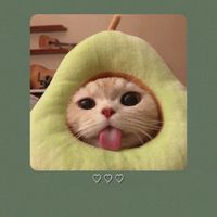ห้องเด็กอนุบาล🤣😼