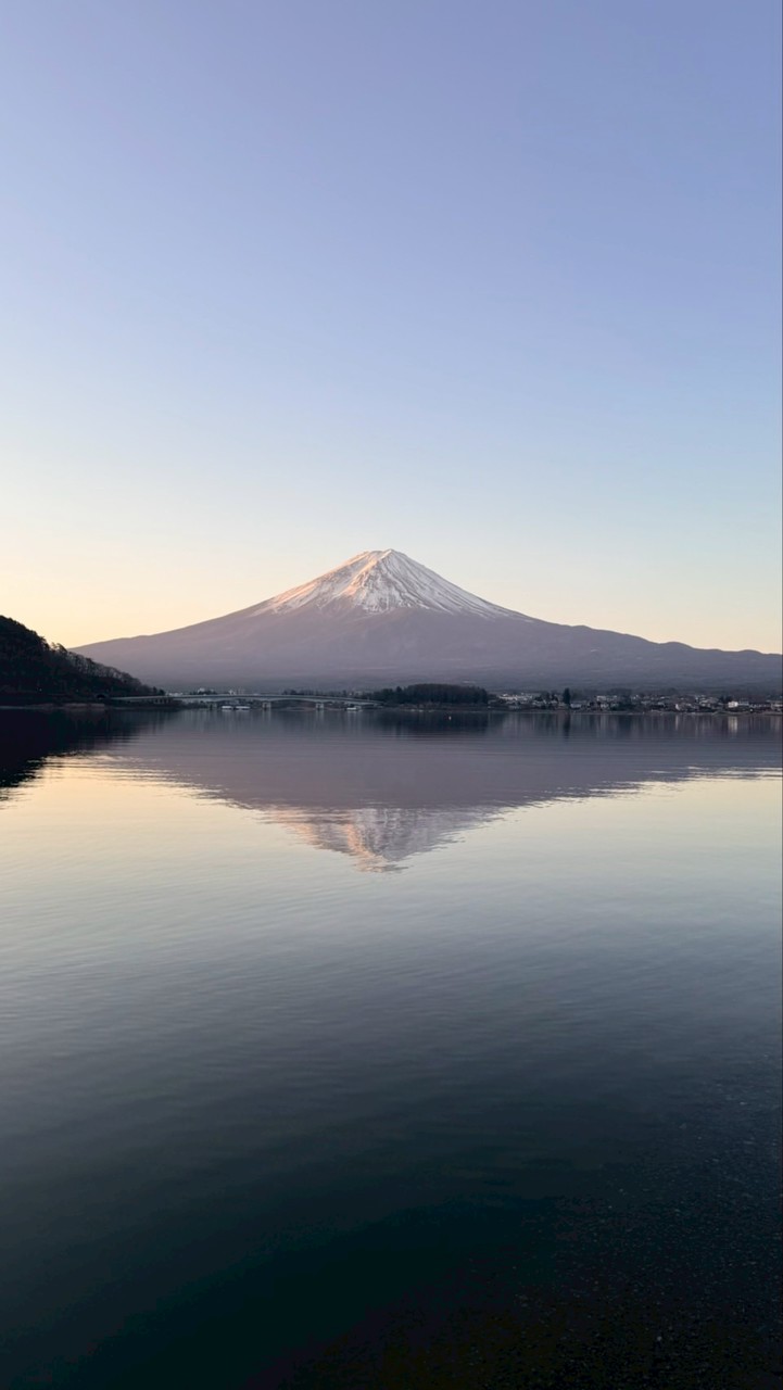 日本代購群