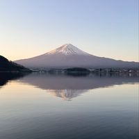 日本代購群