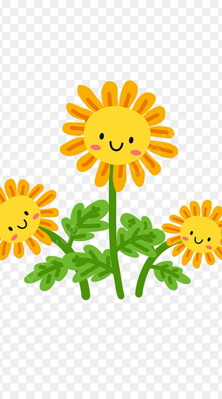 ทานตะวัน 🌻